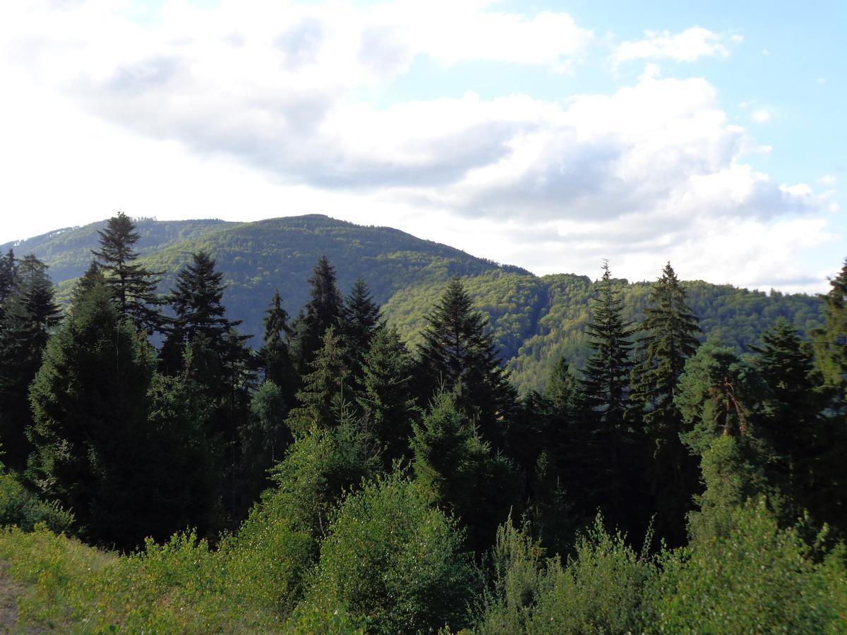 Villa Kwiatowe Zacisze Szczyrk Esterno foto